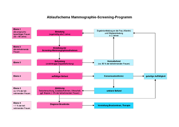 schematische Darstellung vom Ablauf des Mammographie-Screening-Programms