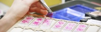 Abbildung Arbeit mit pazhologischen Proben